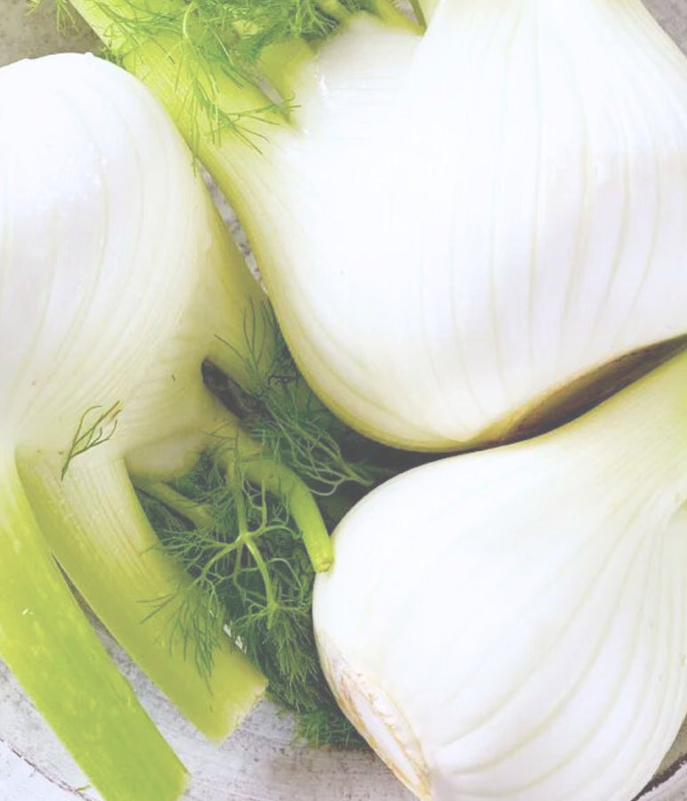 Mabyen Bäuchlein Tropfen Baby Bauchweh Fenchel