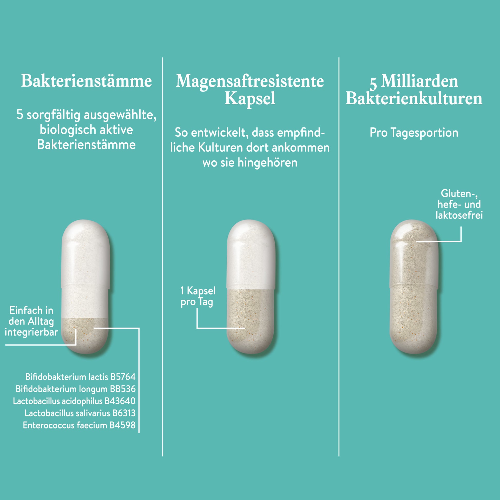 Mama Kulturen Komplex