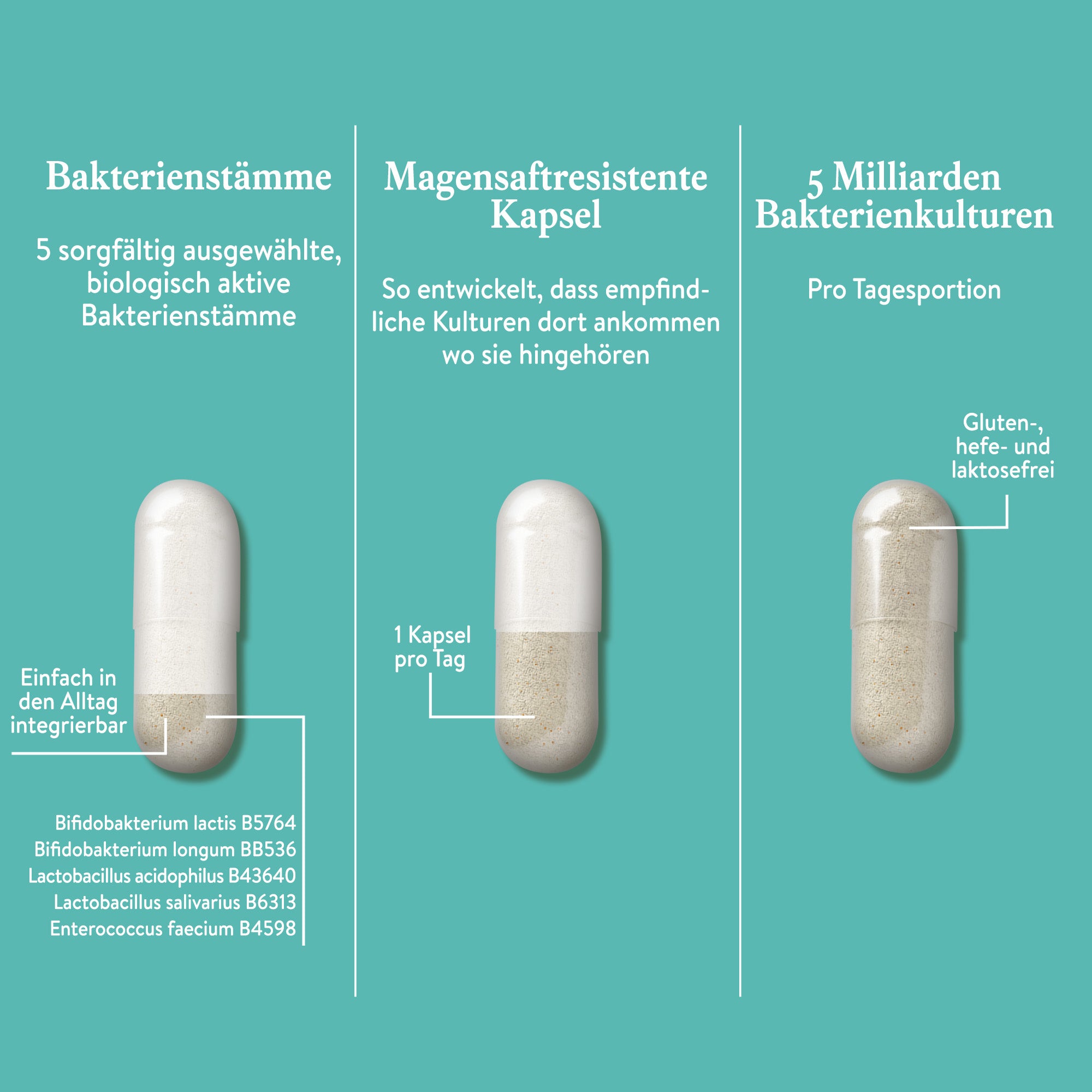 Mama Kulturen Komplex